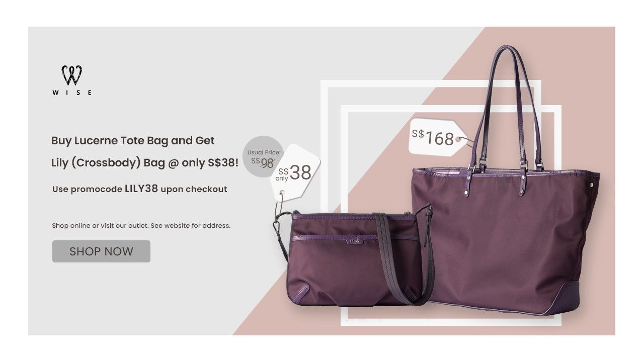 WISE Enterprise Pte Ltd Premium Leather Bags and Fashion Products